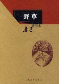 野草是集吗