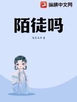炮灰兵是什么意思