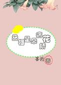 都市少帅百科