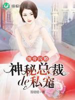 蚀骨闪婚神秘总裁的私宠叶栗陆柏庭作者落烟烟