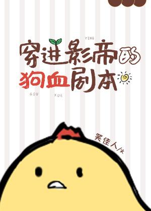 奶爸高手