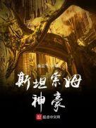 斯坦索姆神豪123读