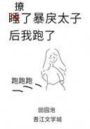 第一战场分析师24章
