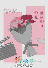 民国谍影(谍影风云)