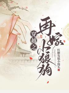 再嫁小夫郎txt百度