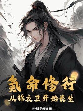 寒门升官手札格格党