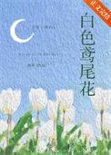 王小屏