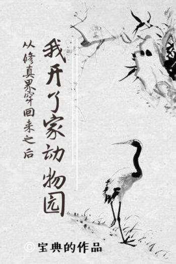 在阿富汗经商