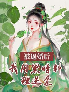弃妃免费