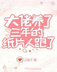 大佬养了三年的纸片人跑了讲的什么内容