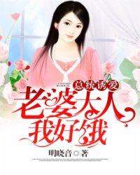 总统夫人轰动全球了全文阅读