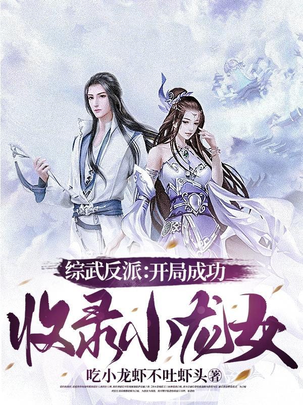 女神的第一高手txt