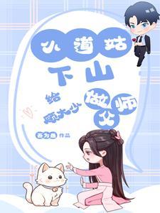都市小仙医叶凡归来