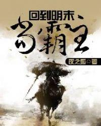 回到明末当霸王 夜之狐(书馆)