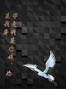 半明半寐的半夏