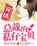 总裁的私有宝贝全文免费阅读