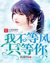 我不等风只等你什么意思