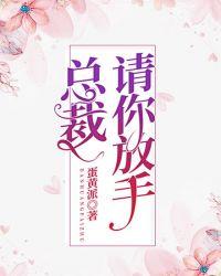 总裁请你放手全文阅读