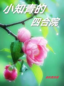 查理的日记美剧