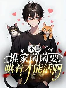 灵珠空间修仙