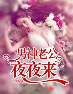 男神老公宠上天