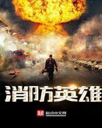 消防英雄电视剧大全