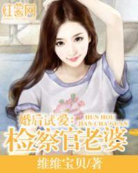 乔木何许txt