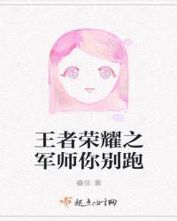 王者军师解说