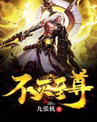不灭武尊 顶点