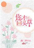 墨少别乱来全文免费阅读
