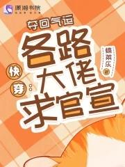 我的美女董事长老婆免费阅读