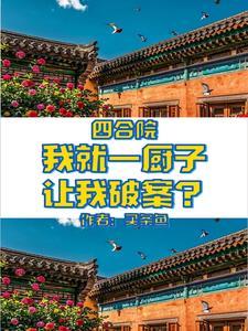 宝可梦p石