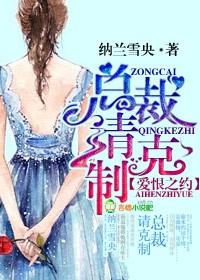 爱恨之约总裁请克制番外