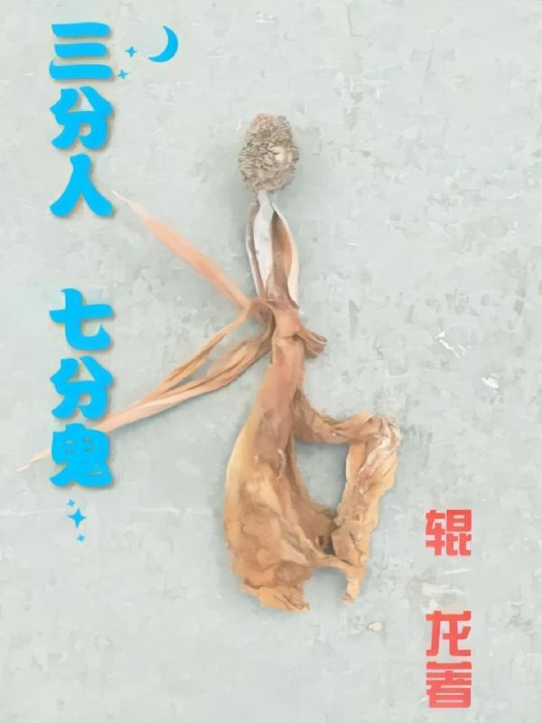 御宠医妃姒锦全文免费阅读