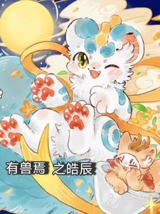 我的贴身校花总裁免费阅读