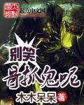 夫人又闯祸了无弹窗