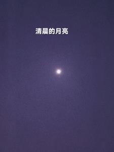 无爱的婚姻