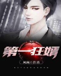 第一狂婿叶凌峰沈蕰雅免费阅读