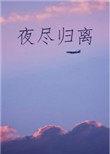 夜尽归离全文免费
