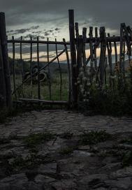 9.重生之校霸十八岁
