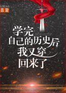 附件结案报告功夫包子讲了什么