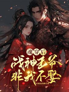 穿成战神夫人全文阅读