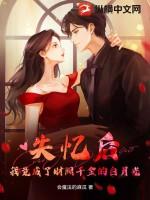 失忆后我成了豪门贵妇沐