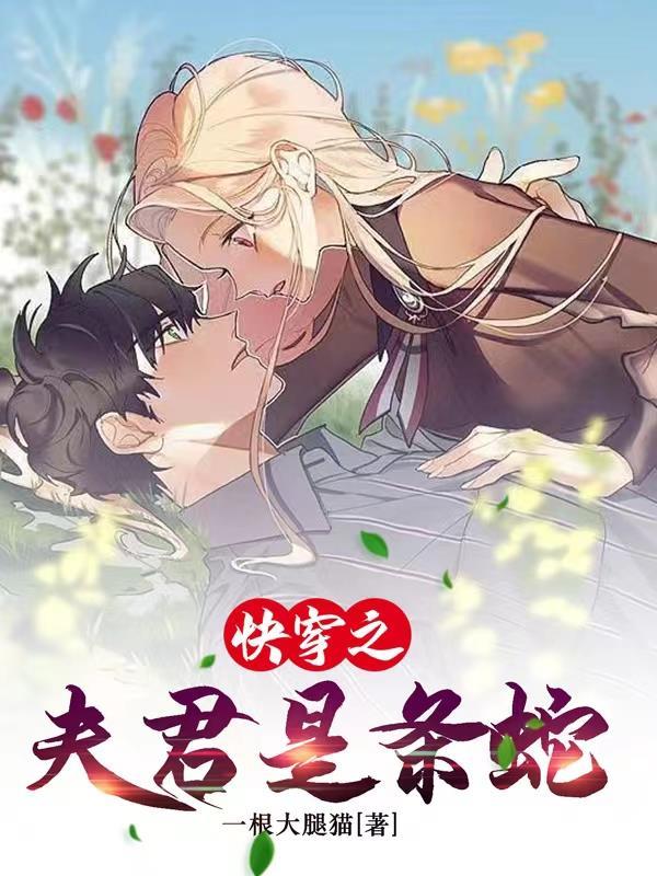 快穿夫君是bug