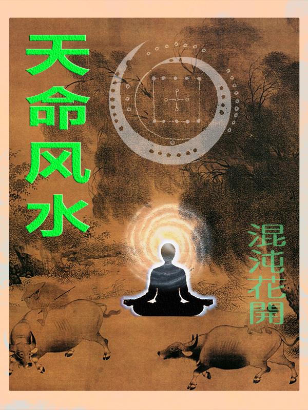 天命风水师杨天鸣无弹窗阅读