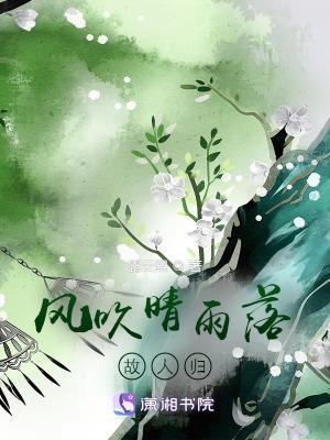 歌词风吹雨落花是哪首歌