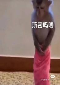 泡芙小姐动画人物介绍