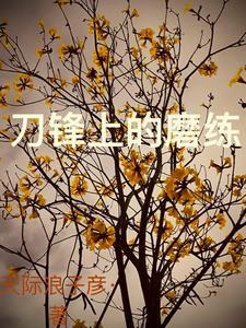 刀锋的视频