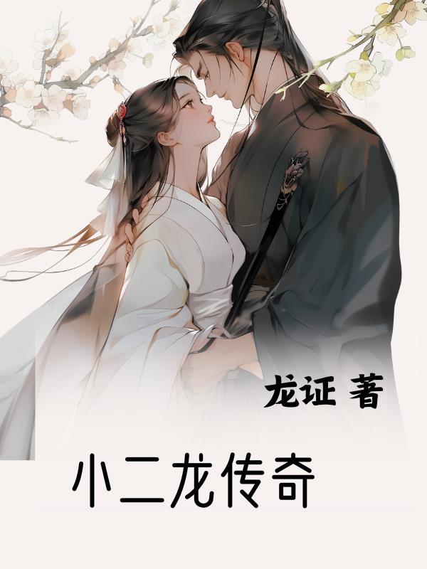 二龙传奇免费阅读