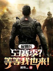 你说你是雇佣兵什么意思